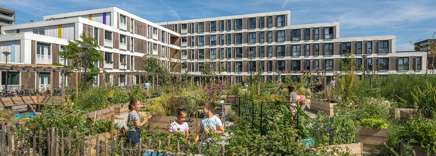 Welkom bij Natuurlijk IJburg